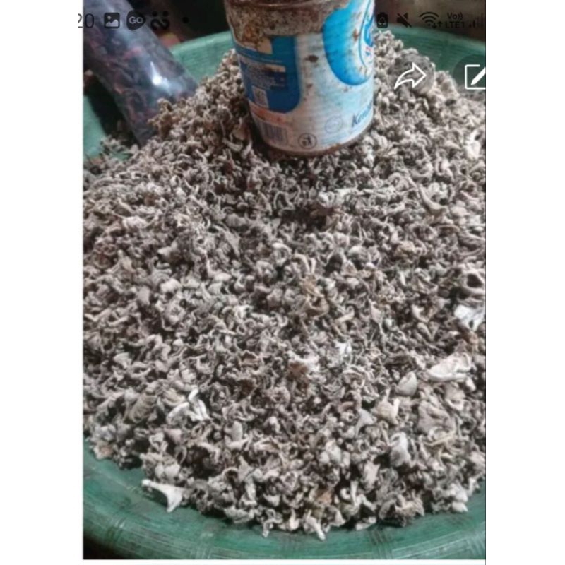 

janur grigiit 100 gr Rp 38000