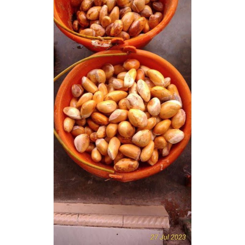 

biji durian fresh besar2 untuk konsumsi 1kg isi 45++