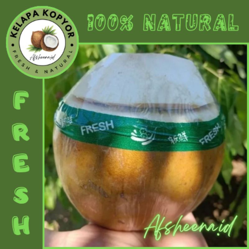 

Kelapa kopyor FRESH uk 49-51