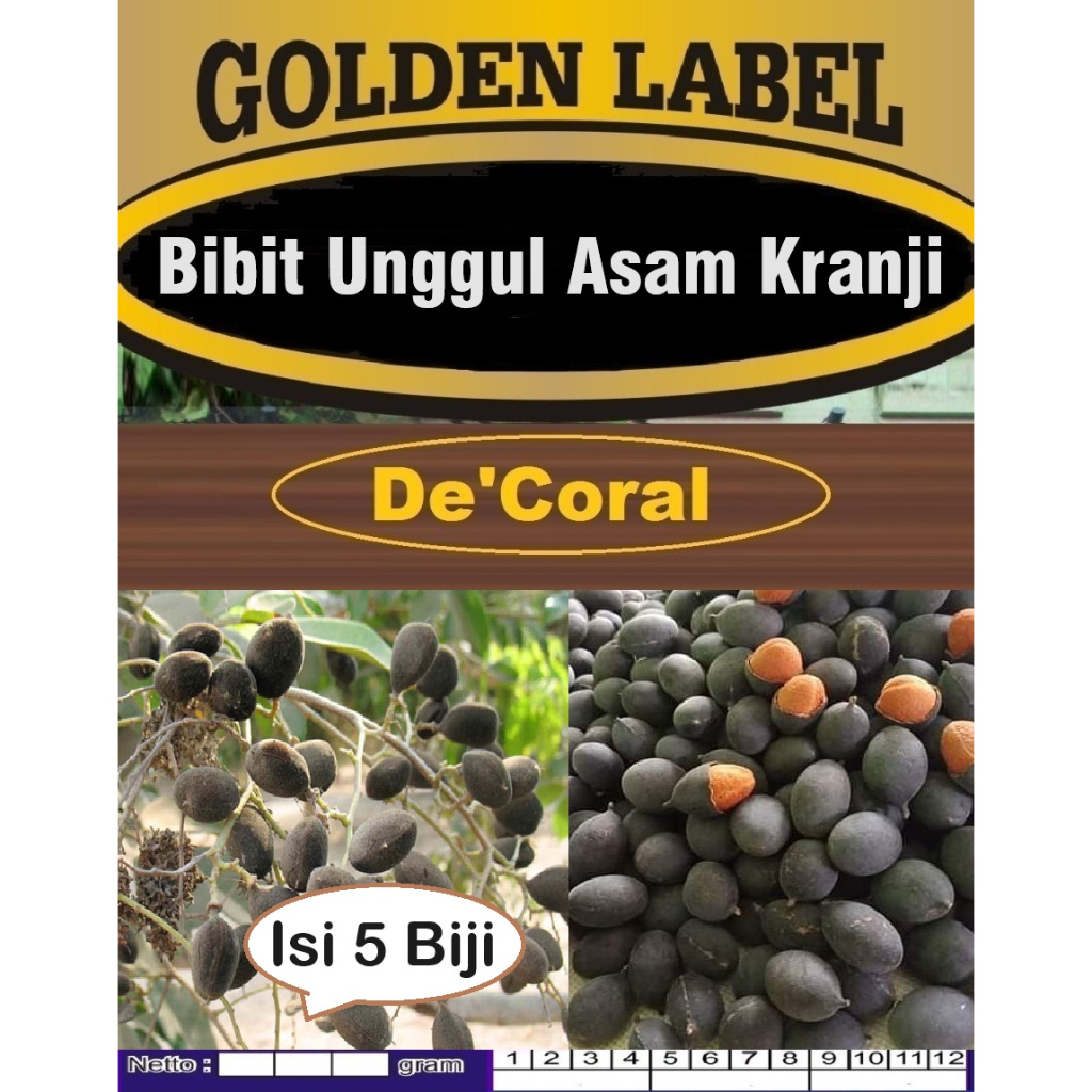 Bibit Unggul Asam Kranji | Biji Benih Asam Keranji | Biji Bibit Asem Kranji