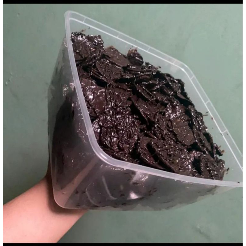 

pisang coklat lumer varian rasa 500 gr khas lampung