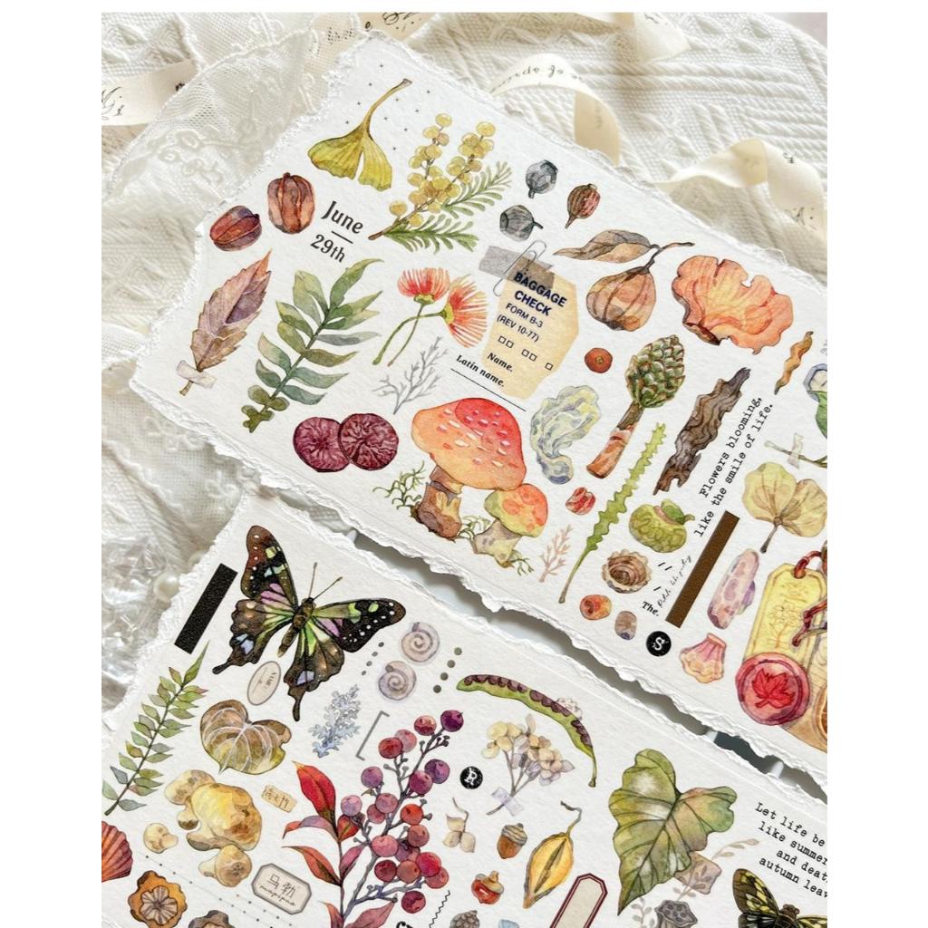 

(Kiricart) Baicangjia garden washi tape sticker kiss cut DIY Journal Scrapbook