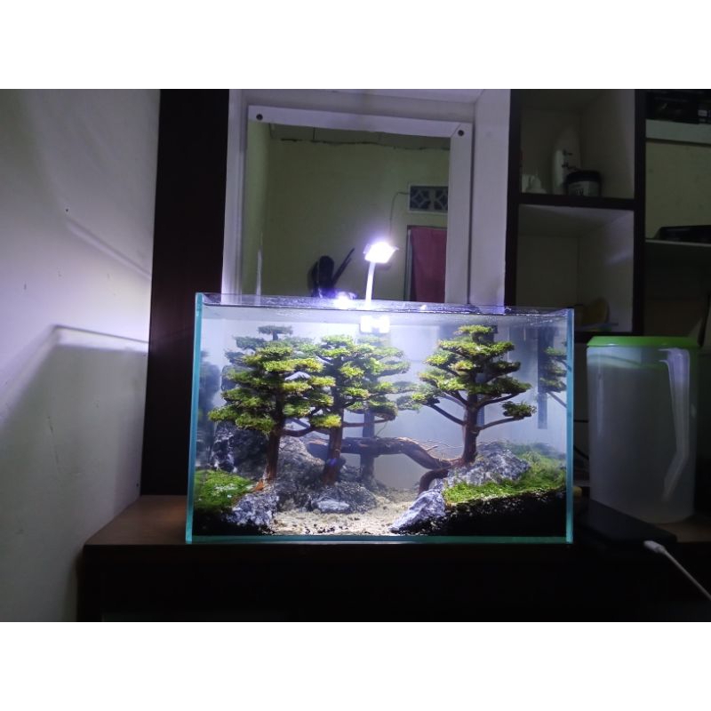 Aquascape 1 set tema bonsai