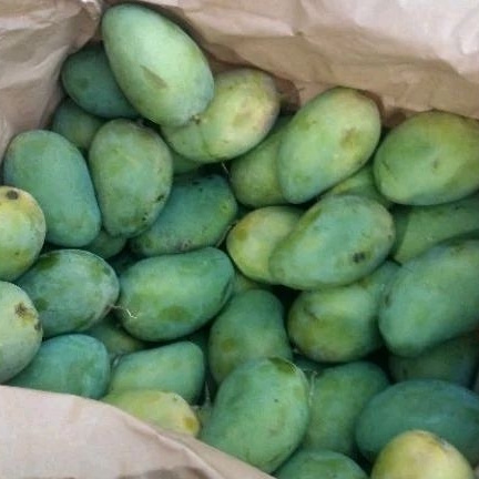 

Mangga harum manis 900- 1kg