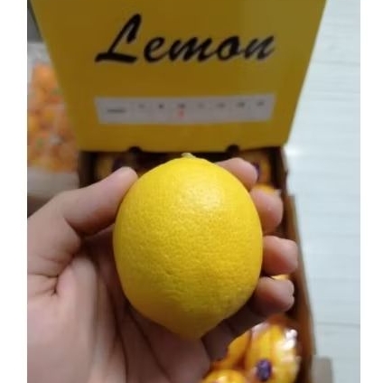 

Lemon Import Murah Segar 1 kg