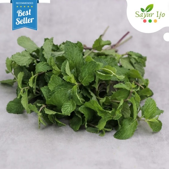 

Daun Mint 40 - 50 Gram Fresh Pepermin ( Peppermint Leaf ) Sayur Hijau Segar