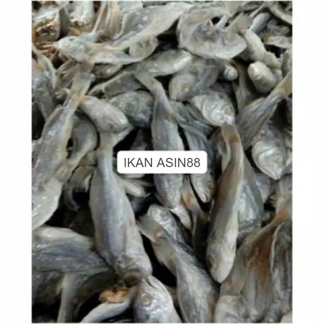 

Ikan asin (kepala batu) samge 500 gram
