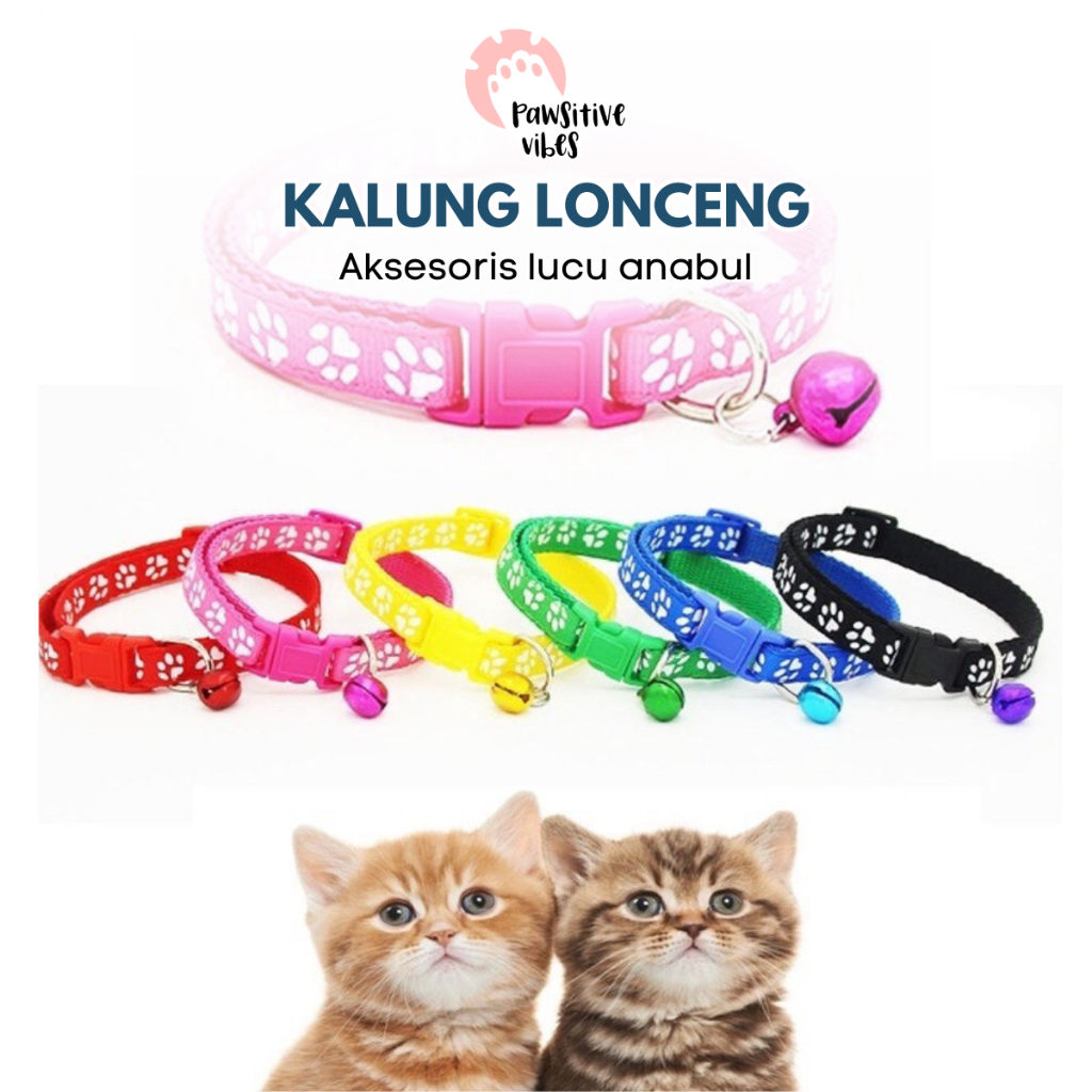 Pawsitive Vibes Kalung Kucing Anjing Murah | Cat Dog Collar | Kalung Lonceng Kucing Anjing