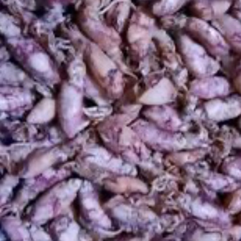 

cumi asin 100gr