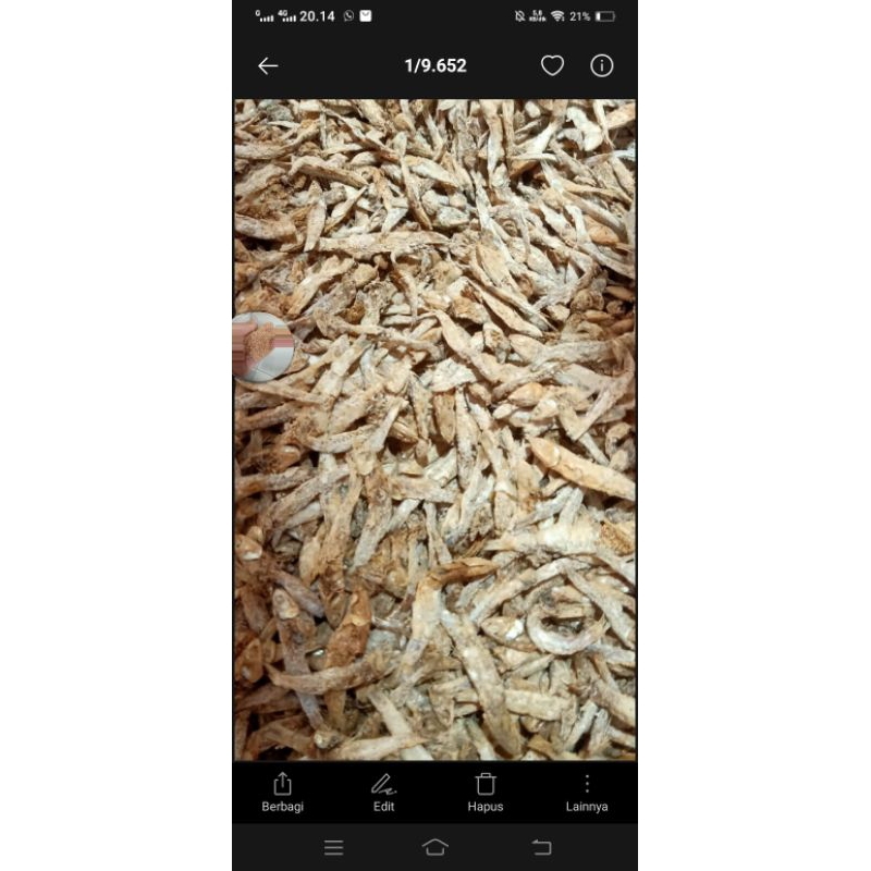 gaplek kupas giling per ton pakan ternak