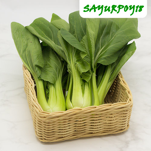 

Baby Pak Choy Value - 250 gr (sayurpoy18)