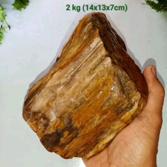 batu galih kelor kristal (492)