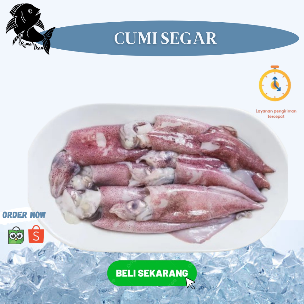 

Cumi Segar / Cumi Seafood Utuh 1Kg