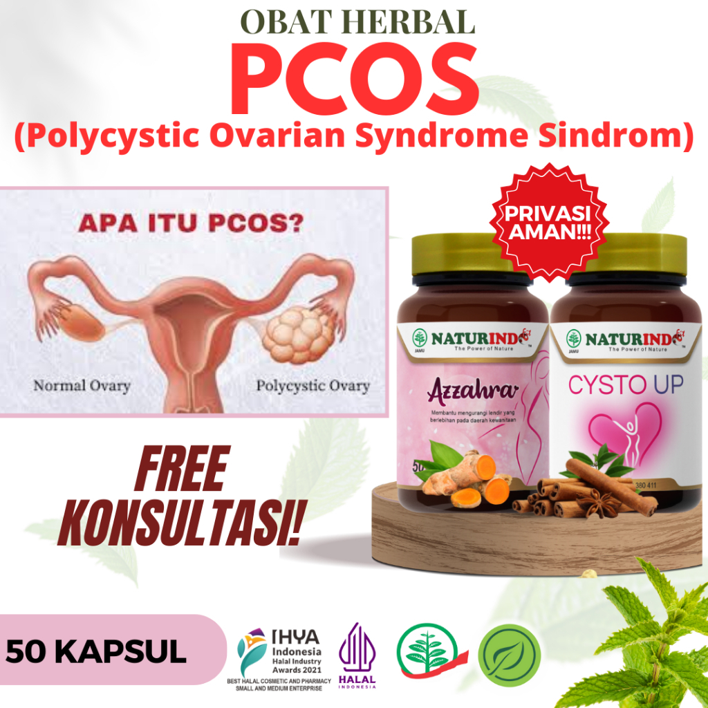 Obat Herbal PCOS Polycystic Ovarium Syndrome Sindrom Polikistik Ovarium Cysto Up