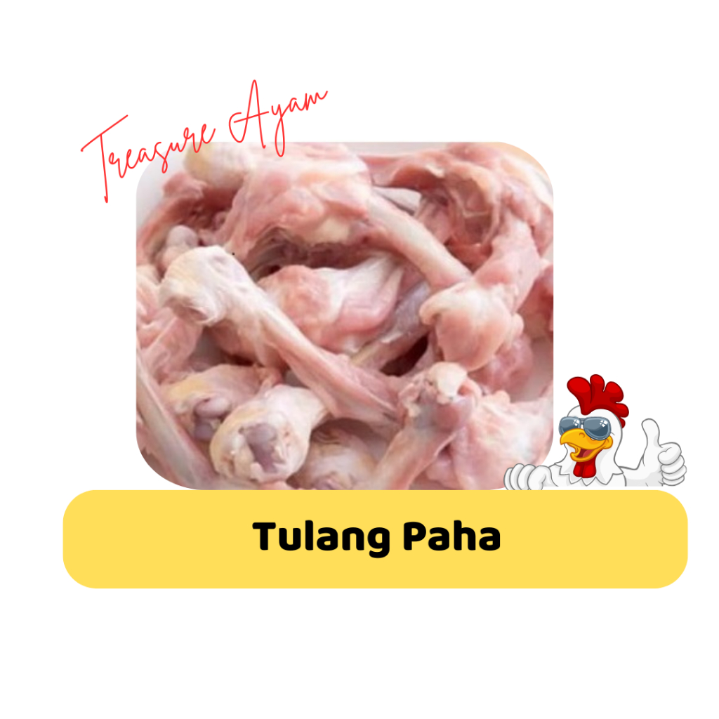 

Tulang Paha