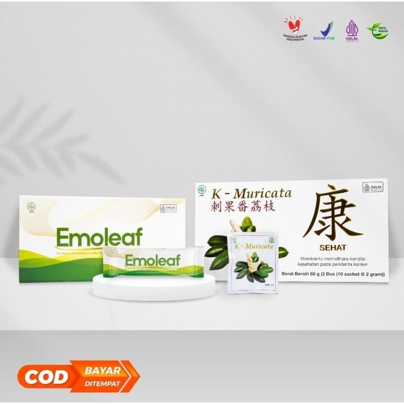 Paket Herbal Kanker Tumor Emoleaf & K-muricata Original BPOM Obat Herbal Stroke Darah Tinggi Jantung