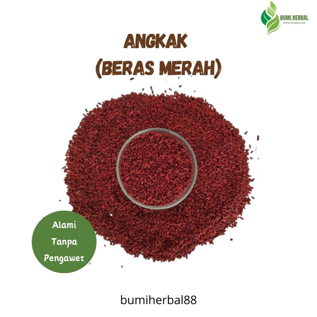 

angkak beras fermentasi