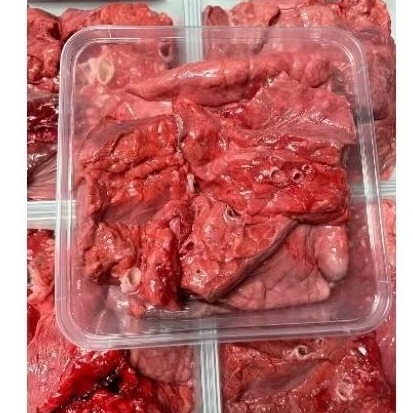 

PARU SAPI 500 GRAM (HALAL)