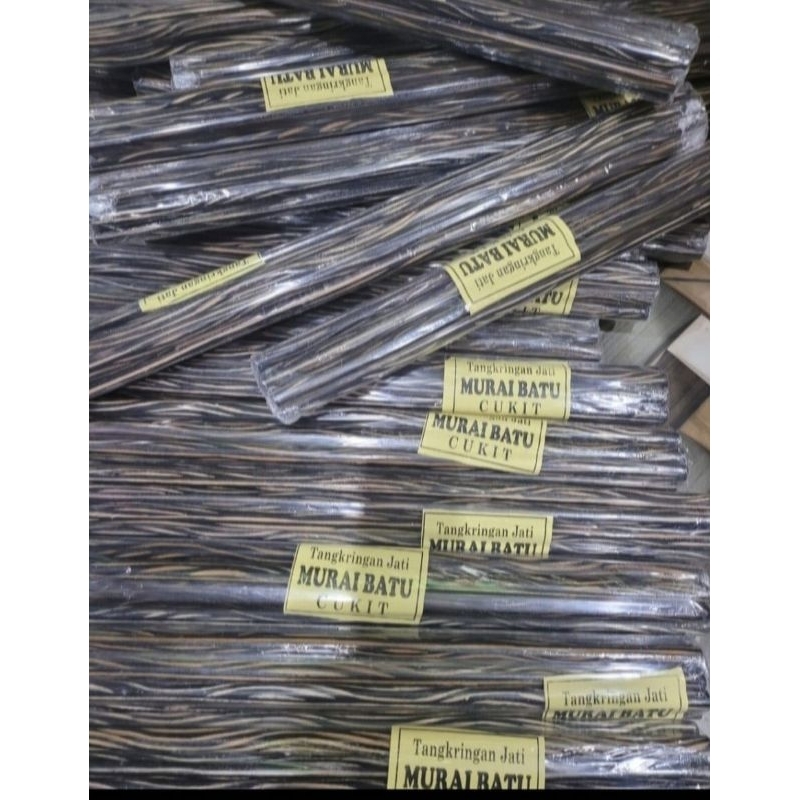 Tangkringan jati murai batu