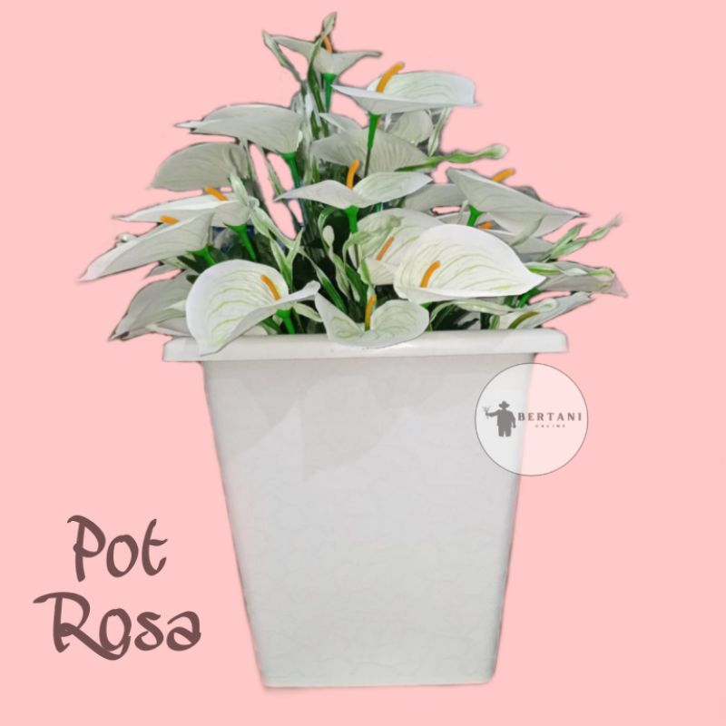 Pot Rosa Ukuran 40 Budi Jaya Plastik