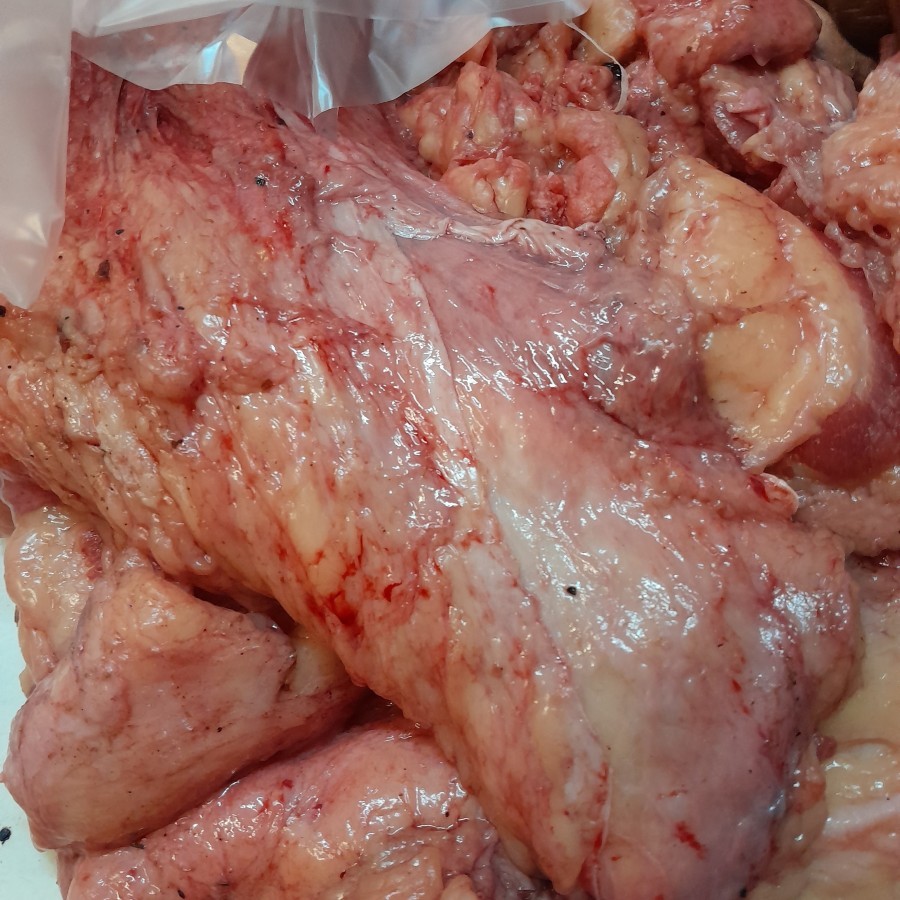 

Beef Fat Fresh / Lemak Dada Sapi Lokal Segar / Rawon