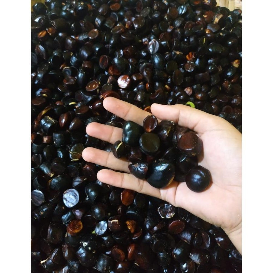 

500 gr kabau jolang jaling petai jengkol pete Jaminan Kabau Tua