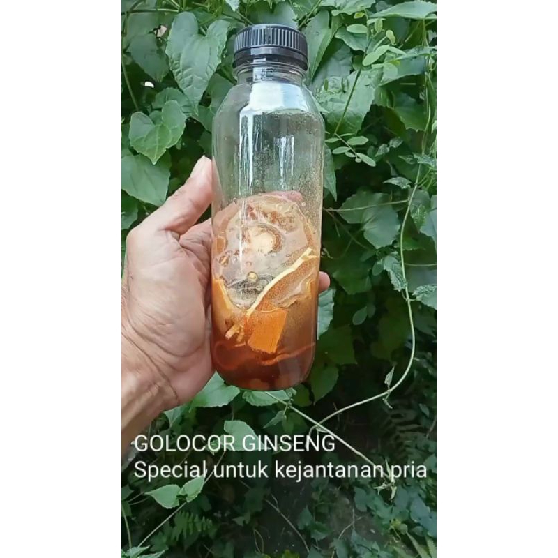 

MADU KUAT GOLOCOR GINSENG fermentasi madu ginseng merah korea + rempah2 (STMJ)