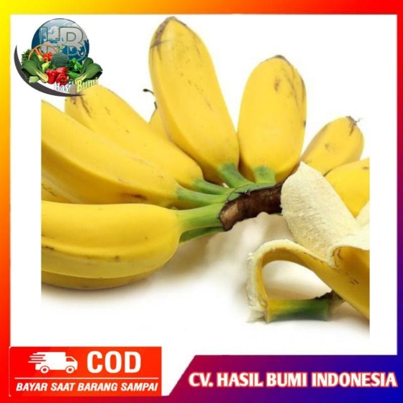 

pisang kepok kuning l 1kg l matang mentah super+!!!