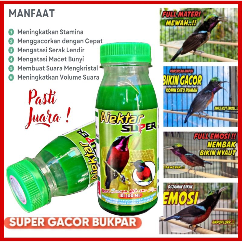 GREEN NEKTAR SUPER 100 ML vitamin penggacor Kolibri Konin Sogon pleci cucak ijo cungkok super gacor 