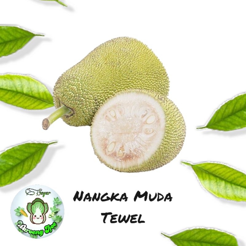 

Nangka Muda TEWEL 1 Potong