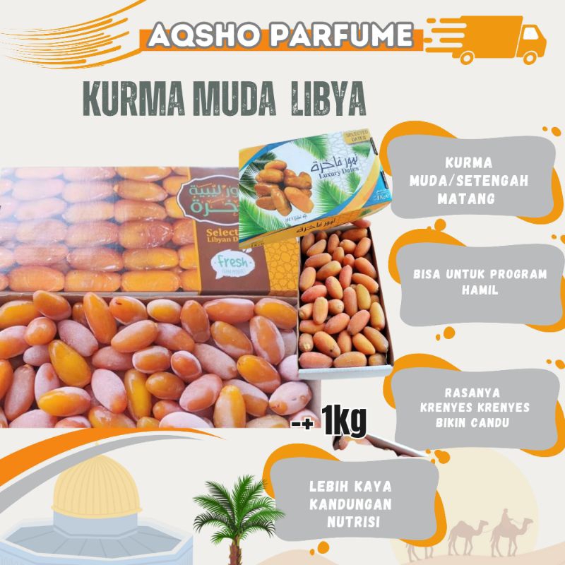 

Kurma Rhotob Libya, kurma Muda, Promil, Kurma setengah matang