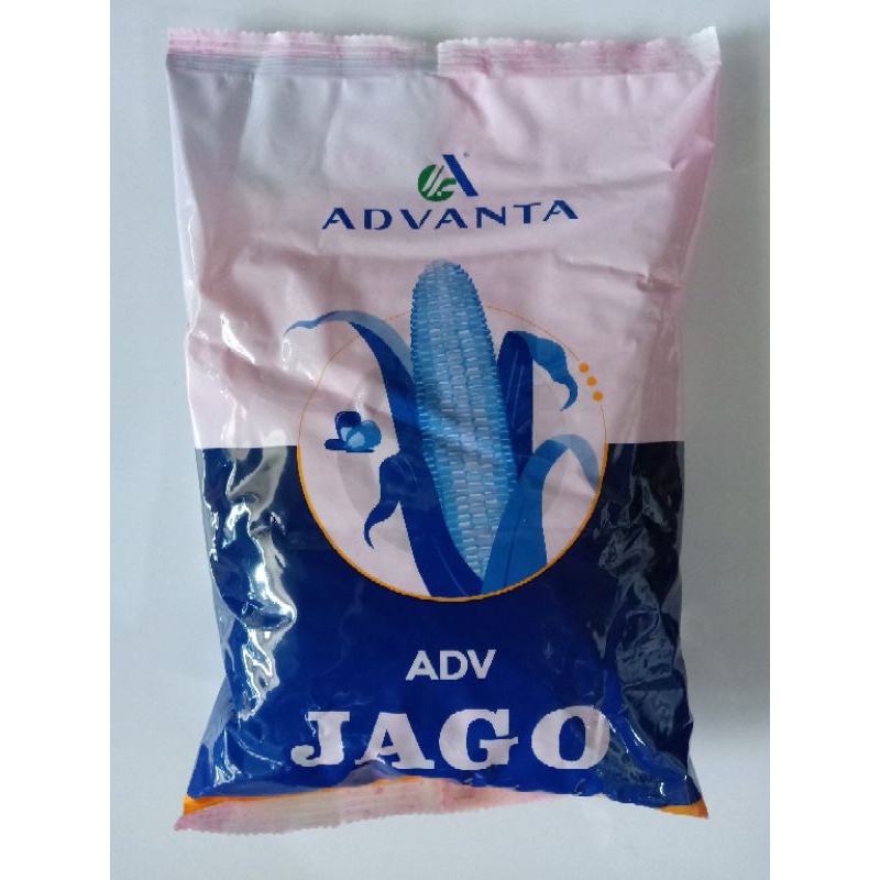 Benih bibit jagung advanta ADV JAGO 1kg original
