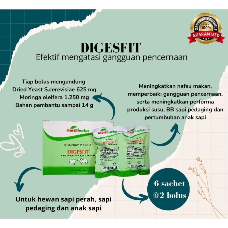 DIGESFIT per bolus - obat diare hewan( sapi perah,  sapi pedaging,  anak sapi)