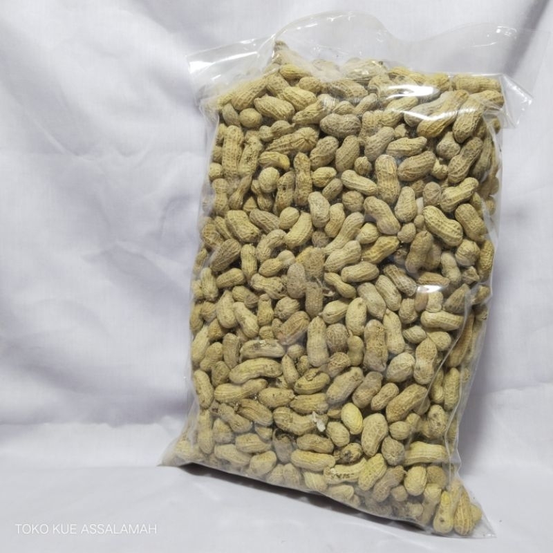 Kacang Asin 1kg / Kacang Tanah Asin / Kacang Kulit Asin