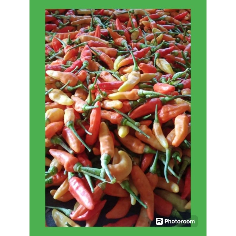 

Cabe rawit Segar 100gram
