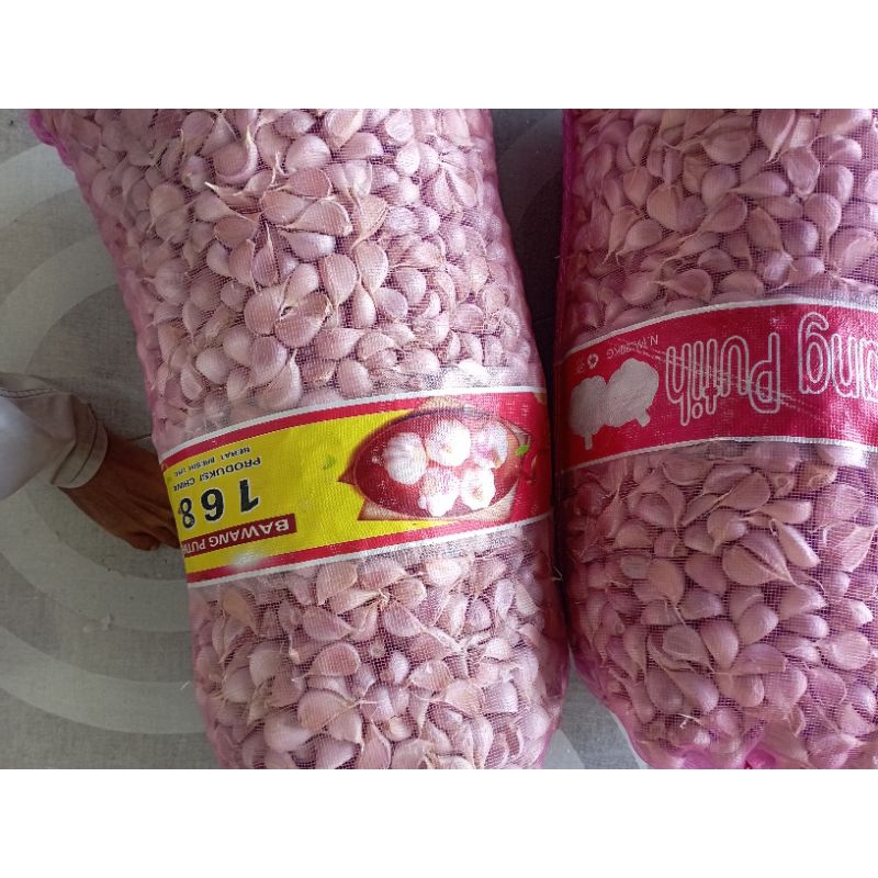 

bawang kating