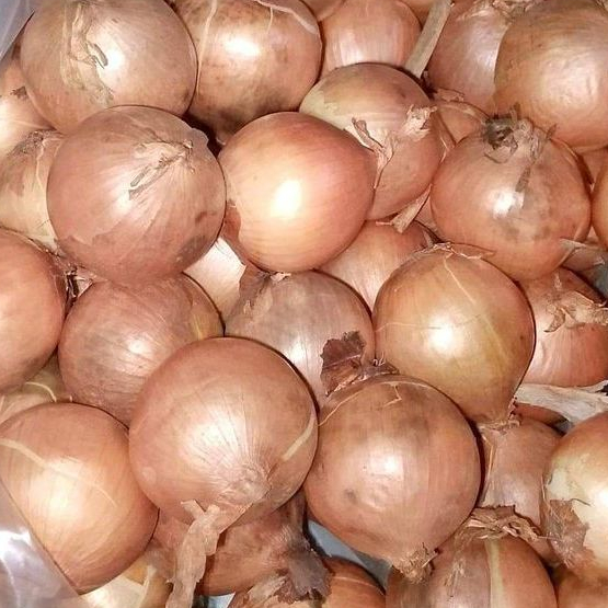

RB Bawang Bombay 500gr