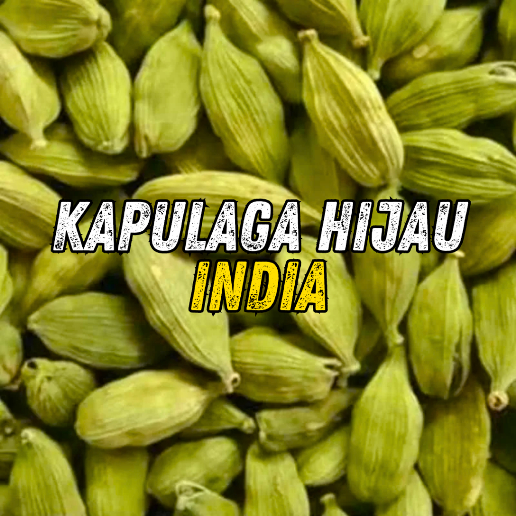 

Kapulaga Hijau India - Kapol Hijau - Kapulaga ijo