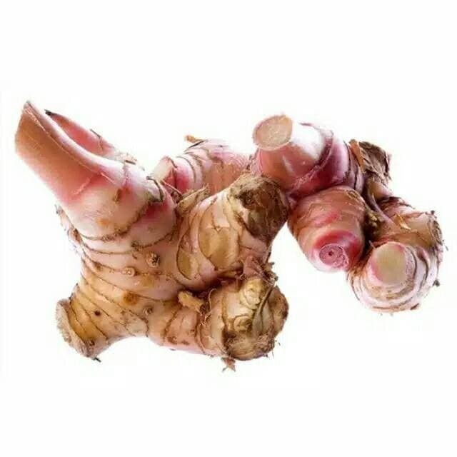 

Lengkuas Laos Laja Galangal 500 gr