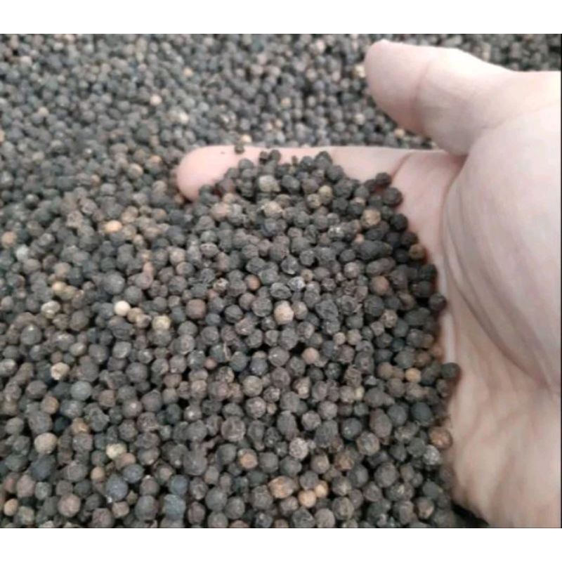 

lada hitam 50 gram black papper merica bulat item hitem blak paper peper blek bleck bumbu dapur masakan