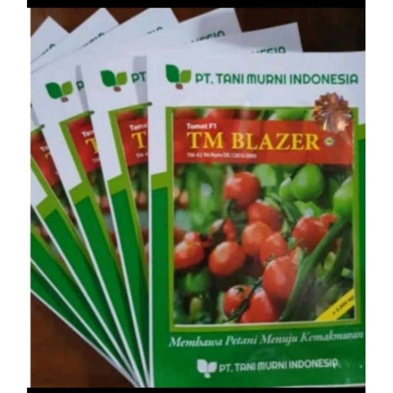 Benih tomat TM Blazer f1