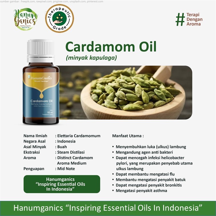 HANUMGANICS cardamom  essential oil Batang Kapulaga, PURE, NATURE, ORGANIC, MURNI, ATSIRI