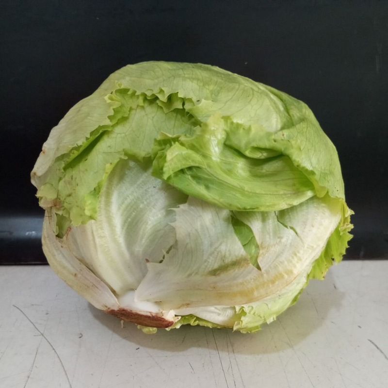

Selada Lettuce Head 1kg