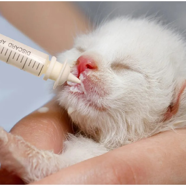Nipple + Spuit Dot Bayi Kucing Baru Lahir Super Lembut Susu Bayi Kucing Dot Anak Kucing Dot Kitten D