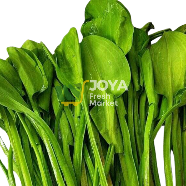 

Joya Fresh - Genjer Segar/Sayuran Segar/Genjer Fresh Per Ikat