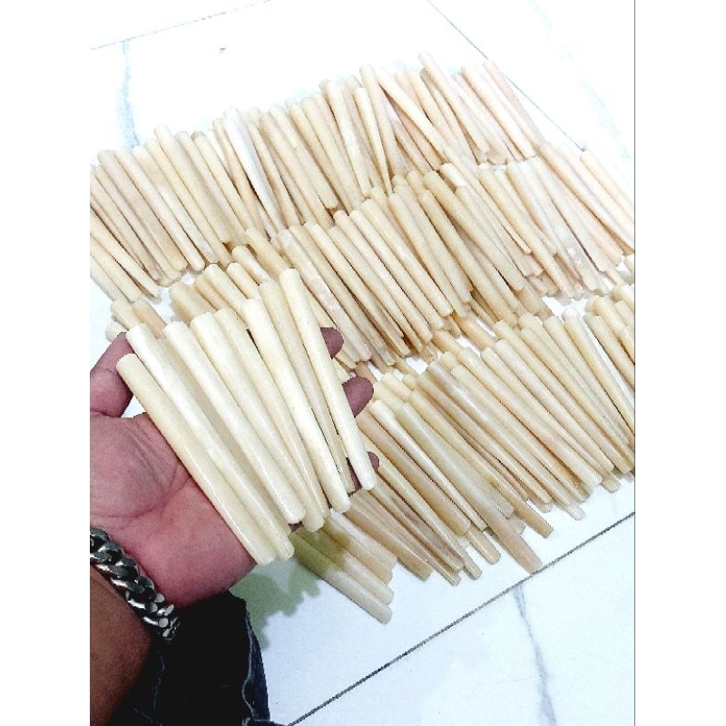 Borongan 20biji pipa once tulang panjang 12cm 13cm harga grosir kodian 1 kodi