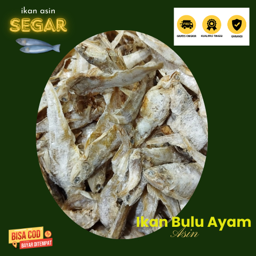 

ikan asin bulu ayam