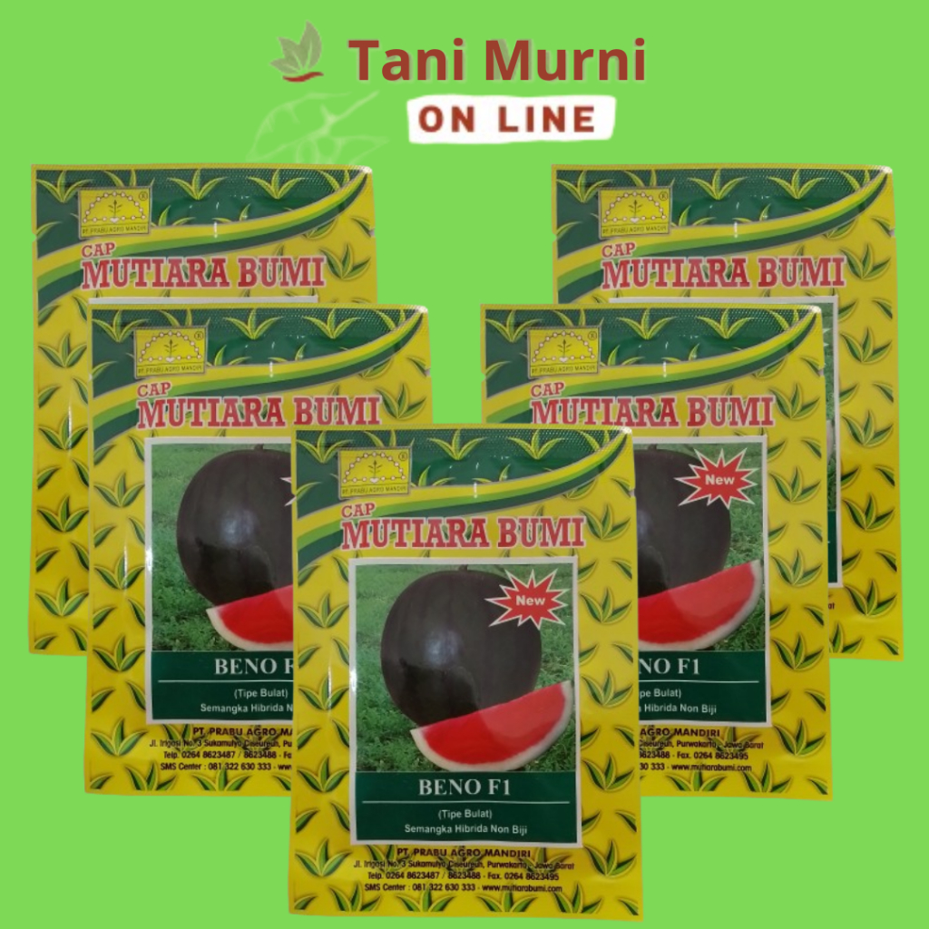 Semangka BENO F1 Hibrida Non Biji Tipe Bulat Isi 300 Butir Benih Cap Mutiara Bumi