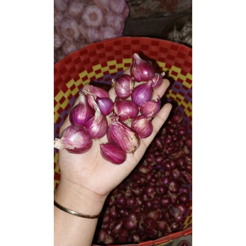 

bawang merah super