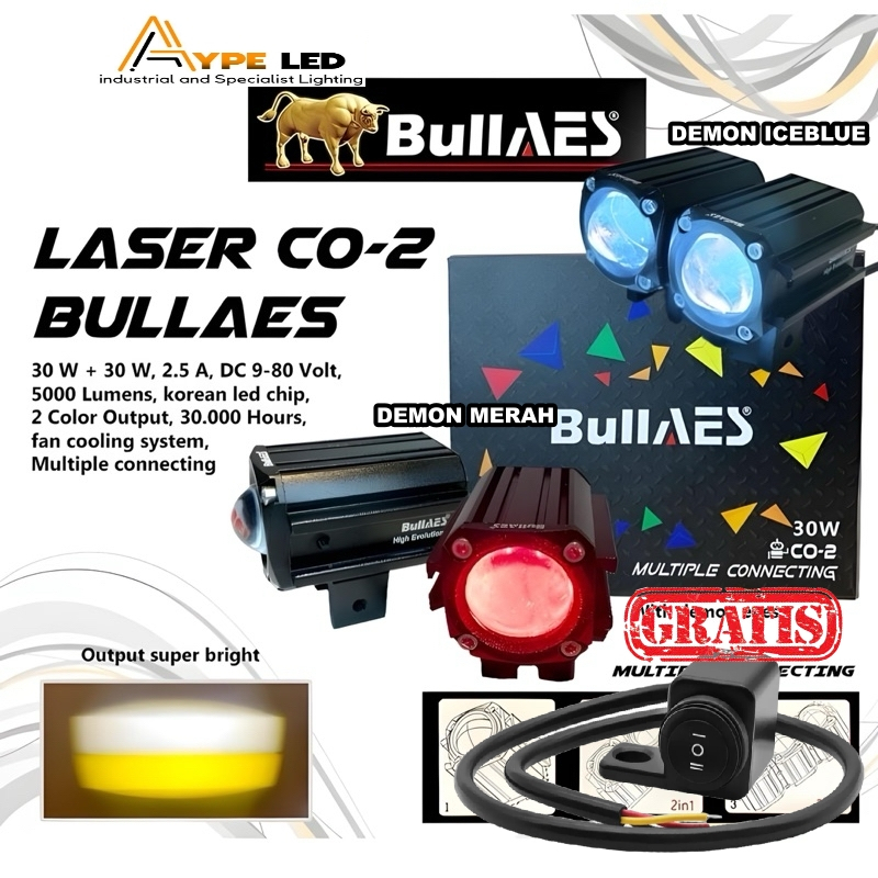 ORIGINAL BULLAES LAMPU TEMBAK LASER CO-2 + DEVIL 30 WATT X1 LASER | LASER NEW AES RX-1 BULLAES